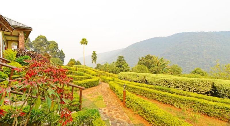 Silverback Lodge Buhoma Exterior photo